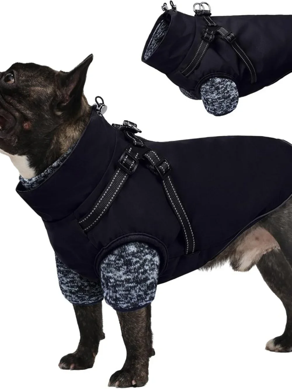 Lelepet Dog Coat 3 in 1